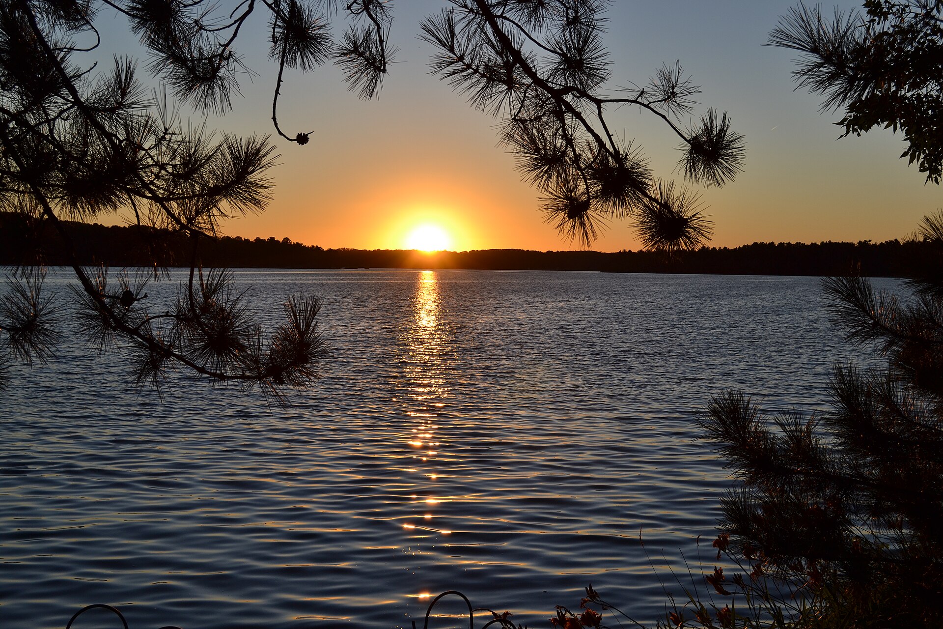 Sunset over Lake Nebagamon framed by red pine boughs, with the far shore in silhouette