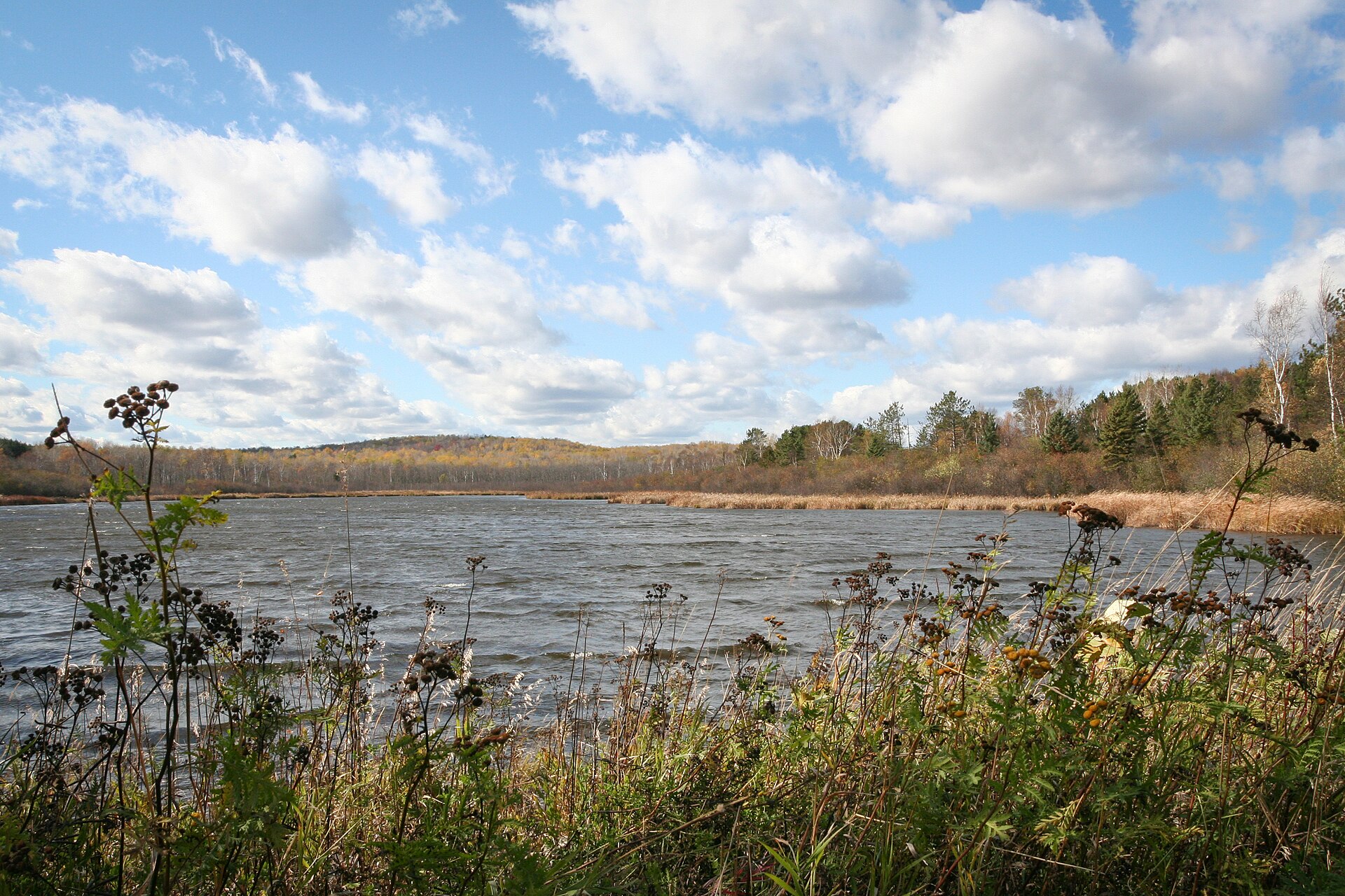 Hartley Pond in autumn, wind on the water, dry reeds along the far bank and a wooded ridge in fall color behind